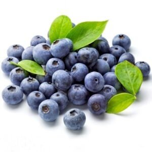 buy blueberry