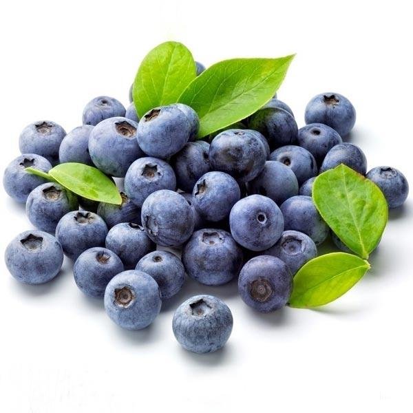 buy blueberry