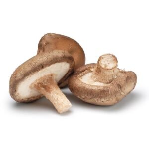 buy shiitake mushroom