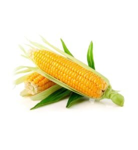buy american corn/bhutta