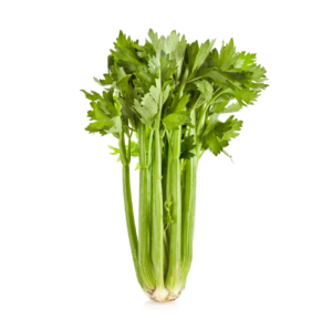 buy celery