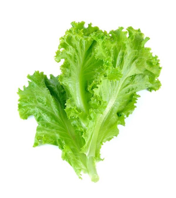 buy lettuce/salad leaf
