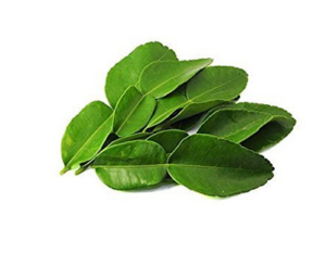 buy kafir lime leaves