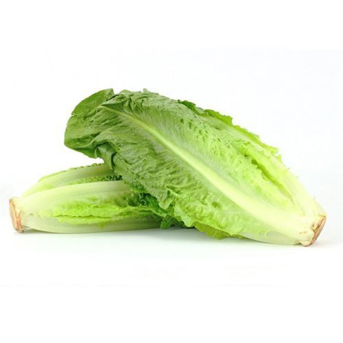 buy romaine lettuce