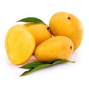buy safeda mango