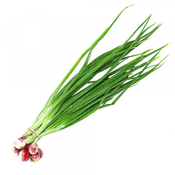 buy spring onion / hara payaz
