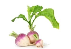 buy turnip/shalgam
