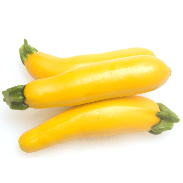 buy yellow zucchini